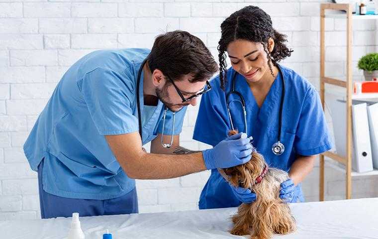 Farms/Veterinarian Offices